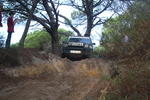 IMG 9808