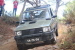 IMG 9811