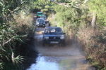 IMG 9826