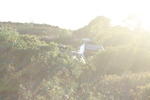 IMG 9835