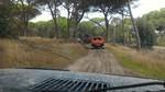 bmps2003 (30)