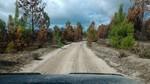 bmps2003 (75)