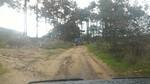 bmps2003 (8)