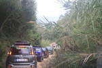 IMG 0404 Easy-Resize.com