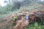 IMG 0408 Easy-Resize.com