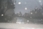 IMG 0487 Easy-Resize.com
