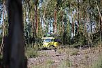 IMG 2538