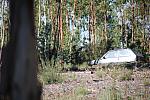 IMG 2541