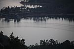IMG 2595