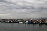IMG 3879