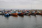 IMG 3880