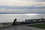 IMG 3895