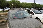 IMG 3933