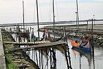 IMG 3938