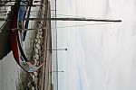 IMG 3942