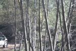IMG 9882