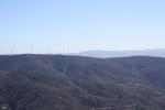 IMG 9887