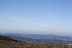 IMG 9890