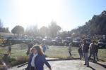 IMG 9892