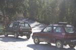 IMG 9913