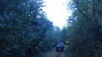 bmps2003 (6)