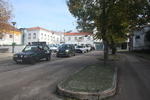 IMG 0517