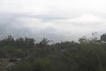 IMG 0523