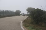 IMG 0524