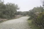 IMG 0538