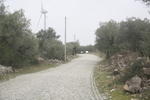 IMG 0539