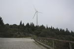 IMG 0545