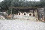 IMG 0547
