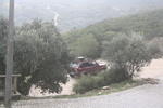IMG 0555