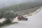 IMG 0556