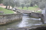 IMG 0579