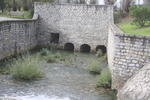 IMG 0580