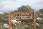 IMG 0596