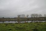 mini IMG 0644