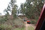 mini IMG 0645