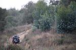 mini IMG 0646