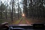 mini IMG 0677