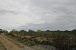 IMG 1577