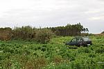IMG 1581