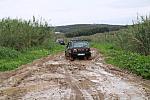 IMG 1613