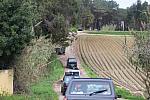 IMG 1617