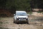 IMG 1634