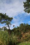 IMG 2779