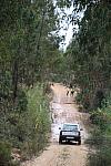 IMG 2979