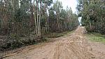 bmps2003 (14)