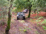 PICT3989.JPG